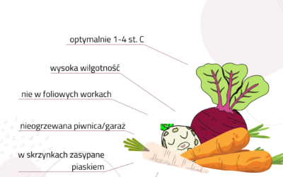 Jak przechowywać warzywa korzeniowe